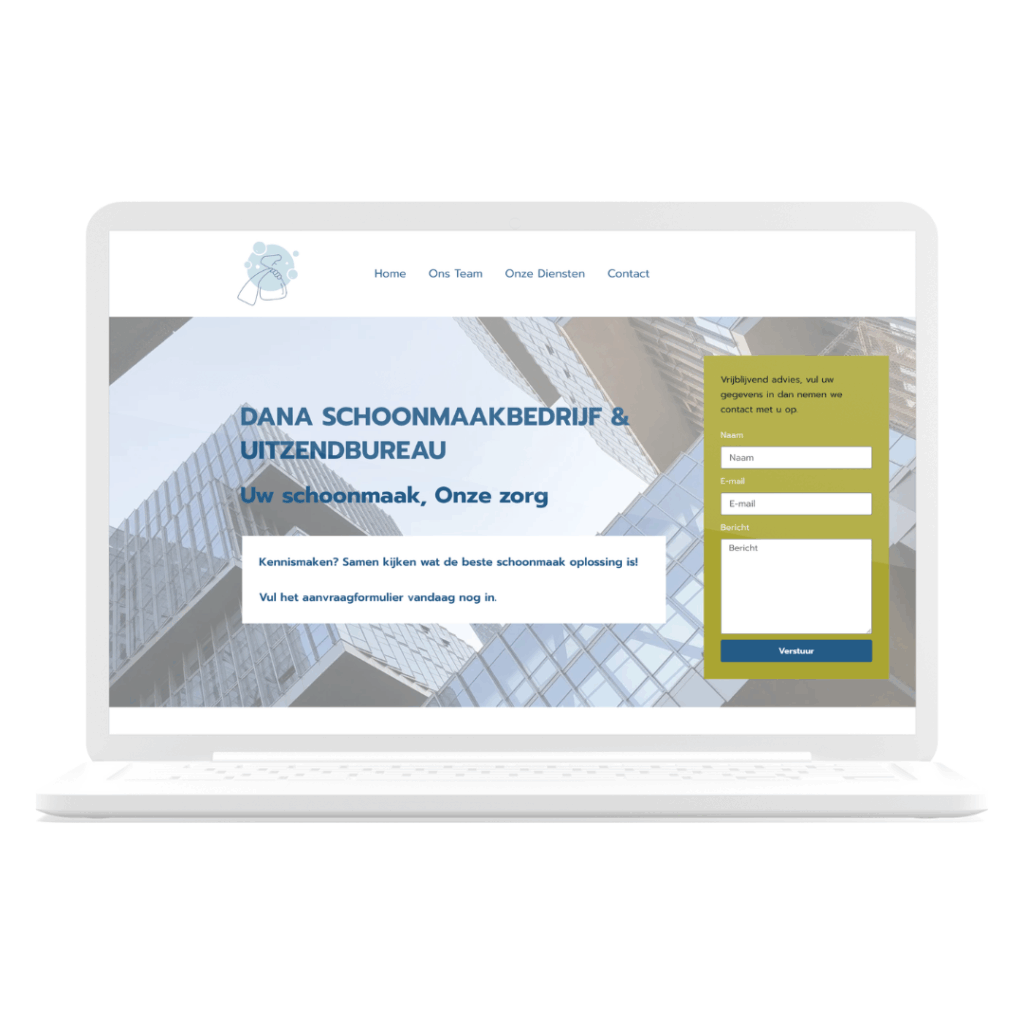 Mock-up Dana schoonmaakbedrijf